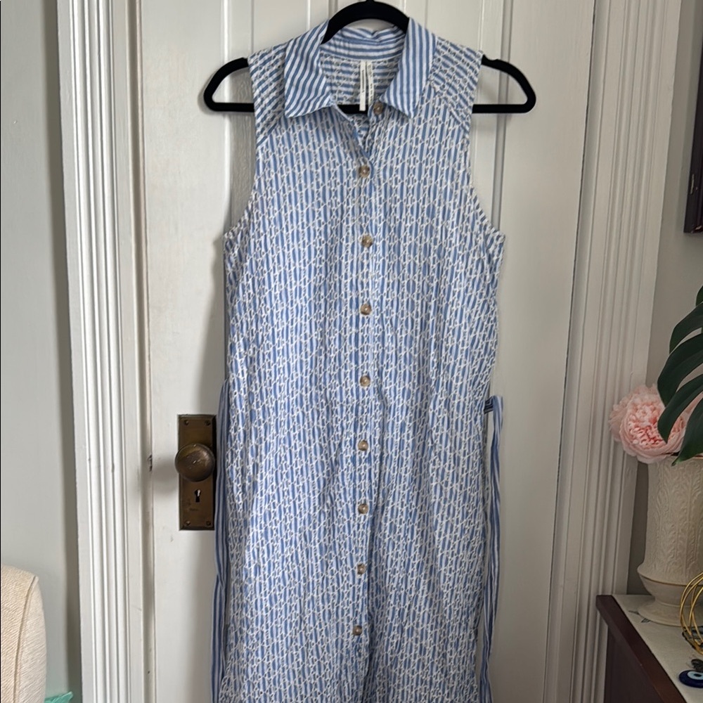 Anthropologie Blue and White Buttoned Sundress